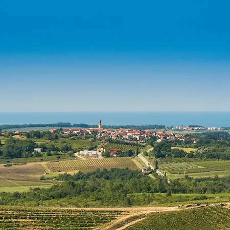Damjanic House