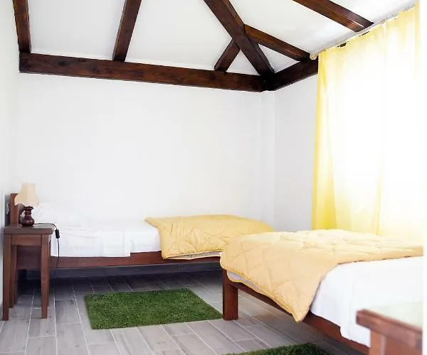 בית נופש Damjanic House